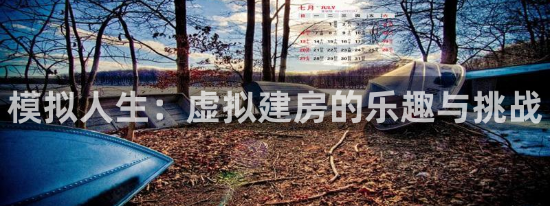 如何注销安信12软件：模拟人生：虚拟建房的乐趣与挑战