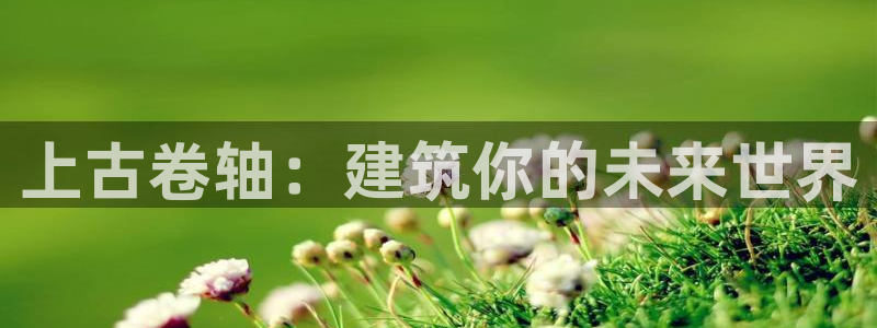 安信12平台介绍：上古卷轴：建筑你的未来世界