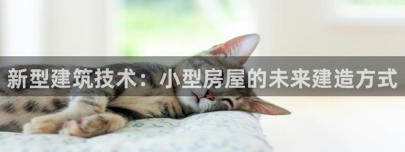 安信12位资金账号：新型建筑技术：小型房屋的未来建造方式
