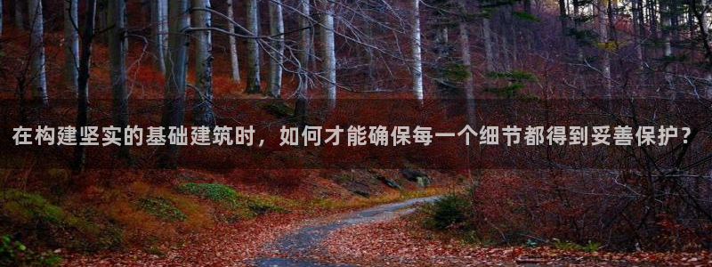安信证券 12位：在构建坚实的基础建筑时，如何才能确保每一个细节都得到妥善保护？