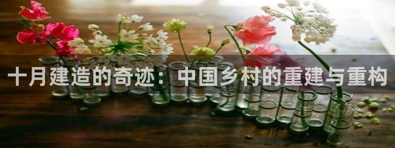 安信cw12系列：十月建造的奇迹：中国乡村的重建与重构
