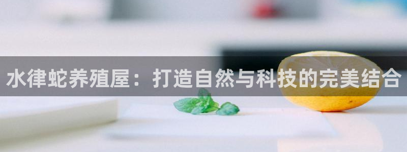 安信12注册登录平台：水律蛇养殖屋：打造自然与科技的完美结合