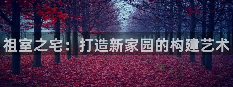 安信12是做什么：祖室之宅：打造新家园的构建艺术