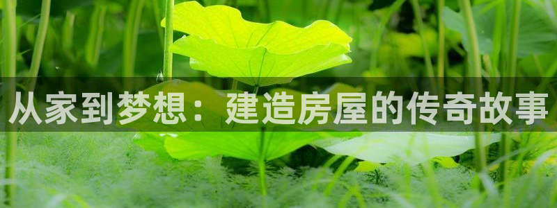 安信12官方网站查询：从家到梦想：建造房屋的传奇故事