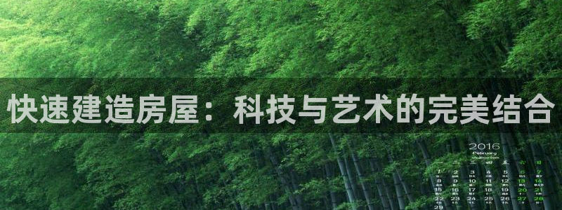 安信可12f：快速建造房屋：科技与艺术的完美结合