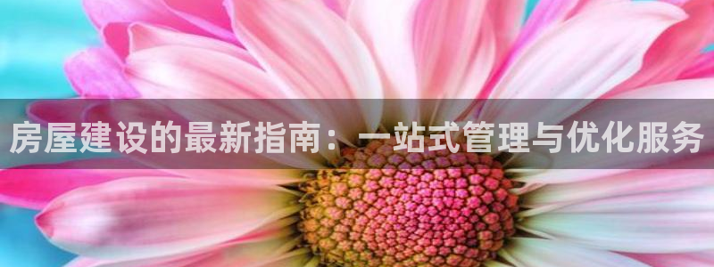 安信12是正规还是仿：房屋建设的最新指南：一站式管理与优化服务