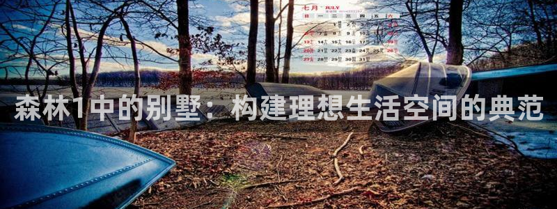 安信12娱乐招商：森林1中的别墅：构建理想生活空间的典范