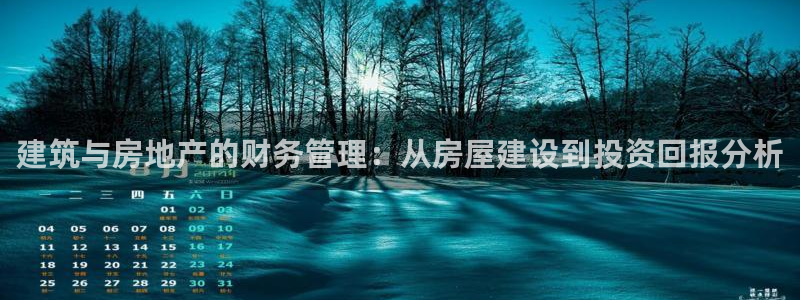 安信12娱乐7o777还：建筑与房地产的财务管理：从房屋建设到投资回报分析