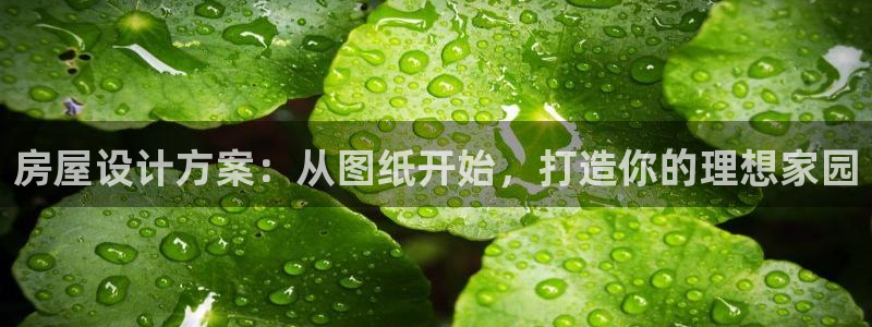 安信12娱乐注册：房屋设计方案：从图纸开始，打造你的理想家园