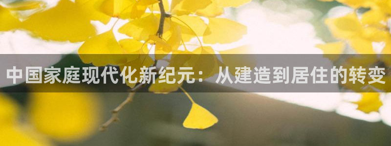 安信12主管：中国家庭现代化新纪元：从建造到居住的转变