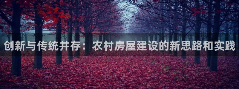 安信安赢12号：创新与传统并存：农村房屋建设的新思路和实践
