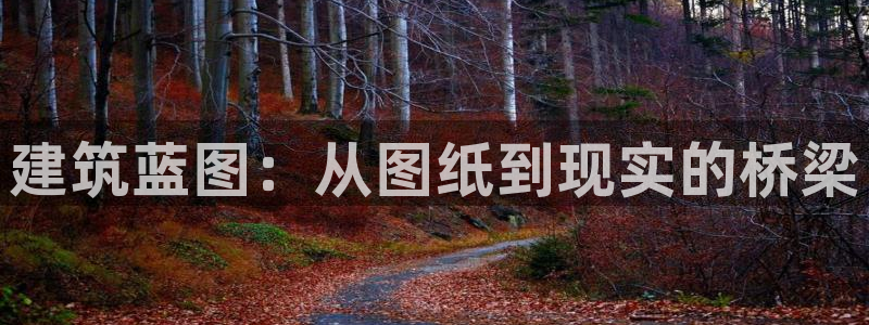 安信12是正规还是仿：建筑蓝图：从图纸到现实的桥梁
