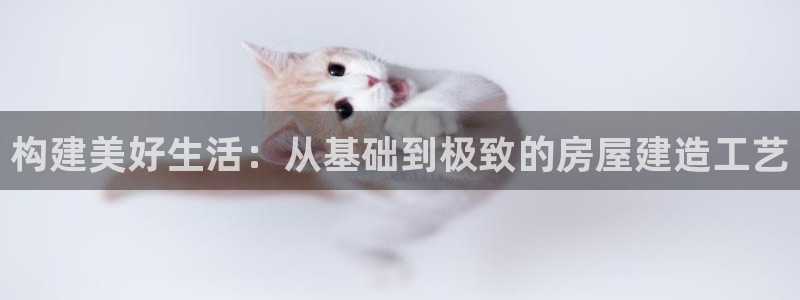 安信12怎么下载：构建美好生活：从基础到极致的房屋建造工艺