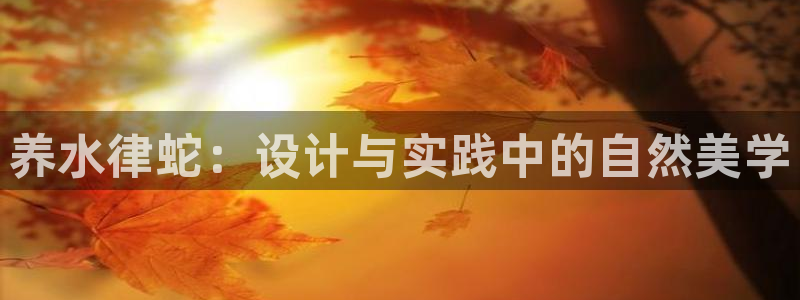 安信12官网：养水律蛇：设计与实践中的自然美学