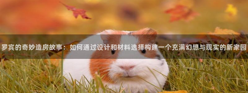 12月安信推荐：罗宾的奇妙造房故事：如何通过设计和材料选择构建一个充满幻想与现实的新家园