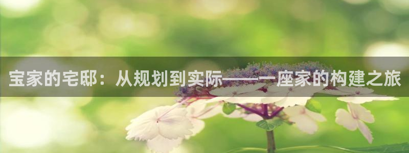 安卓12微信：宝家的宅邸：从规划到实际——一座家的构建之旅