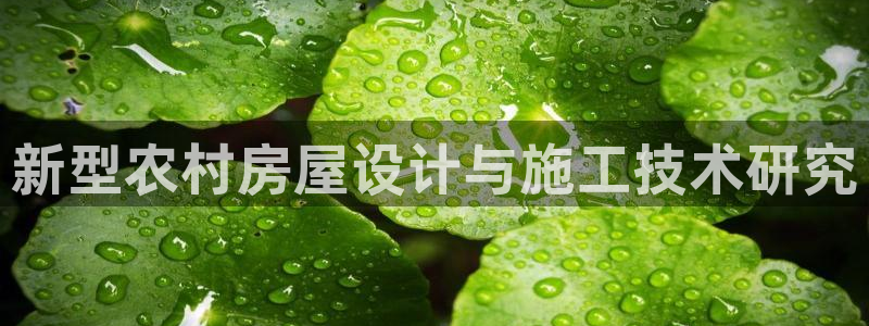 安信12正版下载：新型农村房屋设计与施工技术研究