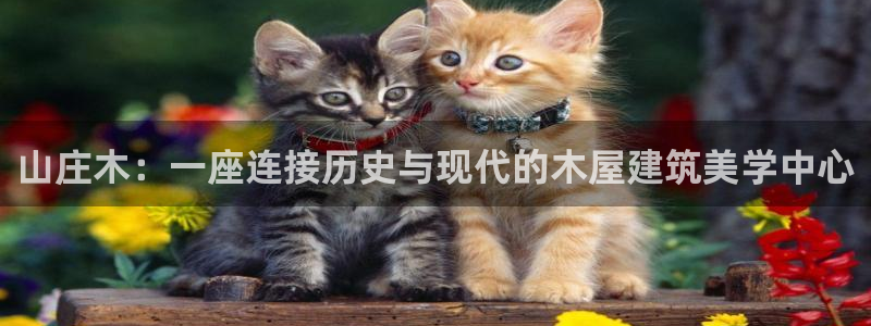 安信12注册登录平台：山庄木：一座连接历史与现代的木屋建筑美学中心