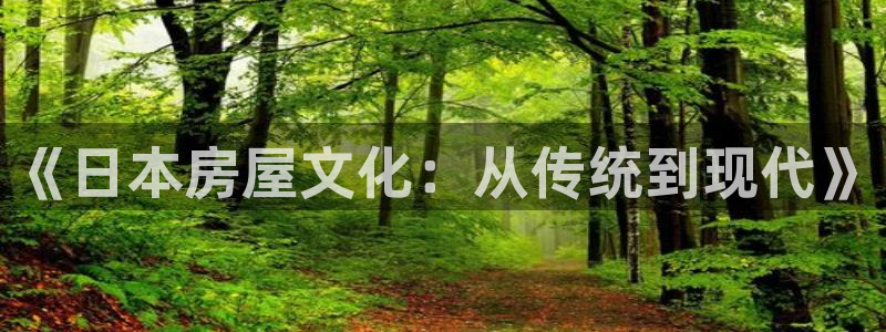 安信12是正轨网站吗：《日本房屋文化：从传统到现代》