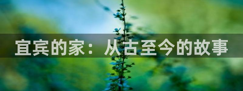 安信地板12mm：宜宾的家：从古至今的故事