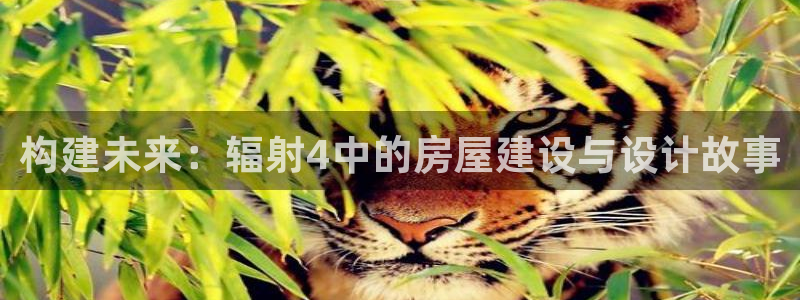 安信12级大众：构建未来：辐射4中的房屋建设与设计故事