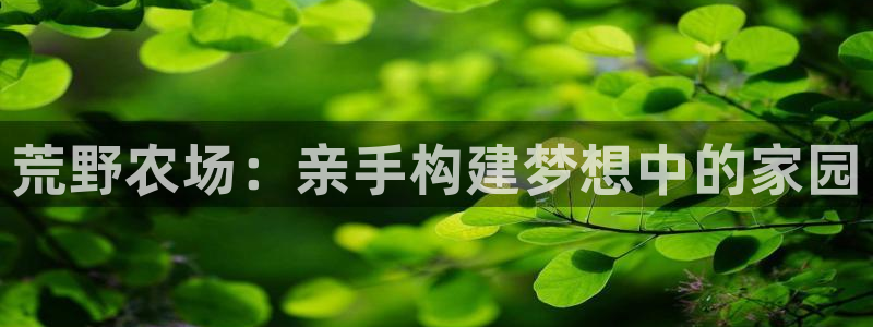 安信 12：荒野农场：亲手构建梦想中的家园