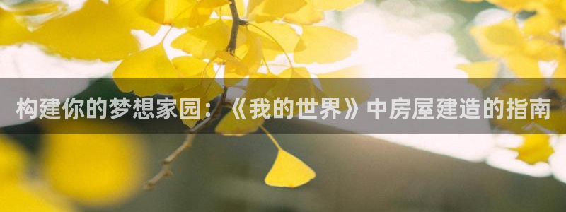 信安12：构建你的梦想家园：《我的世界》中房屋建造的指南