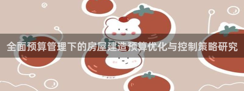 安信12是什么软件：全面预算管理下的房屋建造预算优化与控制策略研究