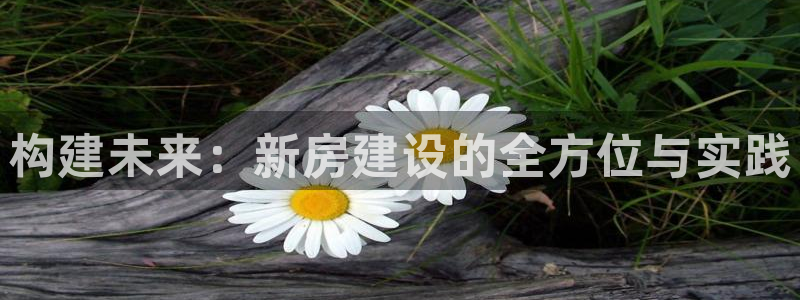 安信12登录网址：构建未来：新房建设的全方位与实践