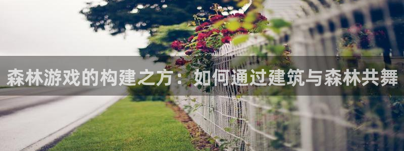 安信12软件介绍：森林游戏的构建之方：如何通过建筑与森林共舞
