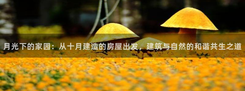 安信娱乐12登录地址：月光下的家园：从十月建造的房屋出发，建筑与自然的和谐共生之道