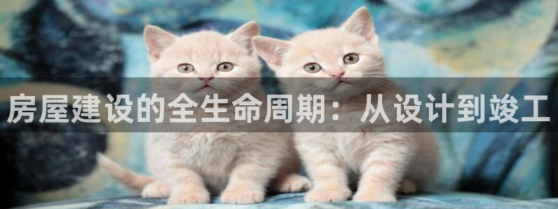 如何注销安信12软件：房屋建设的全生命周期：从设计到竣工