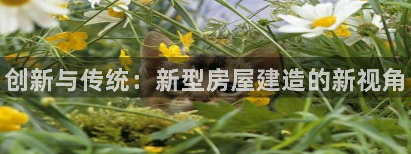 安信12娱乐7o777还：创新与传统：新型房屋建造的新视角