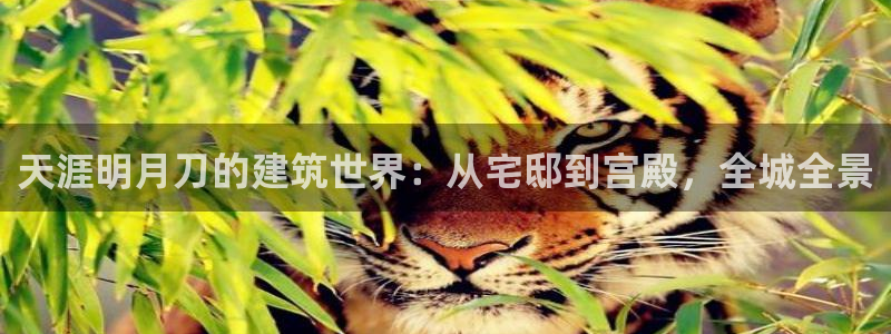 安信12平台开户：天涯明月刀的建筑世界：从宅邸到宫殿，全城全景