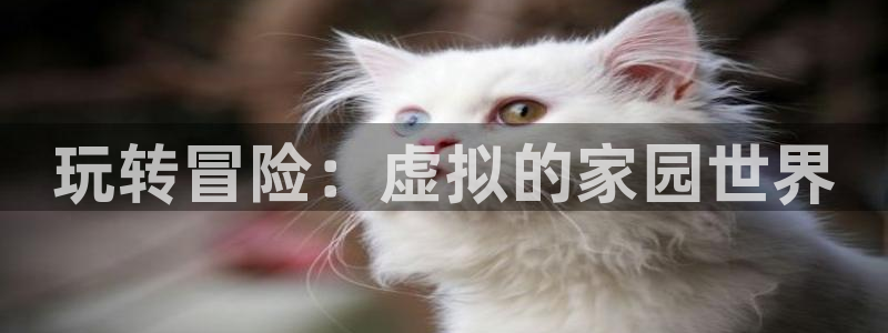 安信12娱乐招商：玩转冒险：虚拟的家园世界