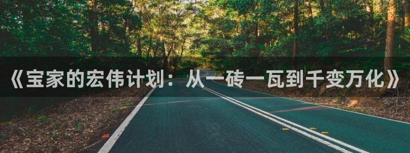 安信12娱乐：《宝家的宏伟计划：从一砖一瓦到千变万化》