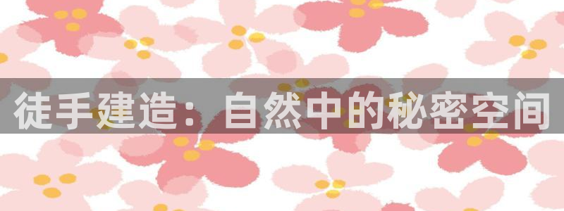 安信12注册代理：徒手建造：自然中的秘密空间