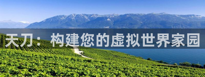 安信12娱乐主管：天刀：构建您的虚拟世界家园