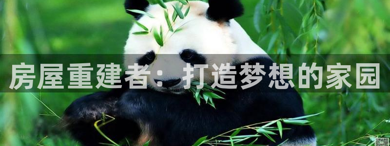 安信12赛车：房屋重建者：打造梦想的家园