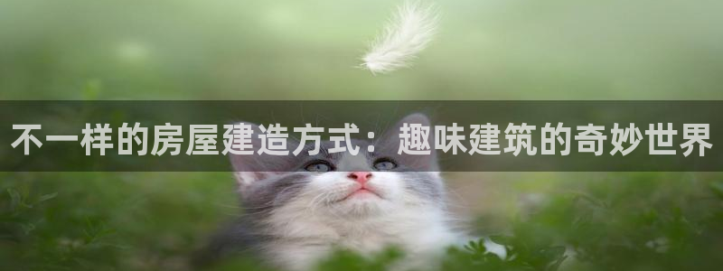 如何注销安信12软件：不一样的房屋建造方式：趣味建筑的奇妙世界