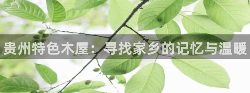 安信12平台：贵州特色木屋：寻找家乡的记忆与温暖