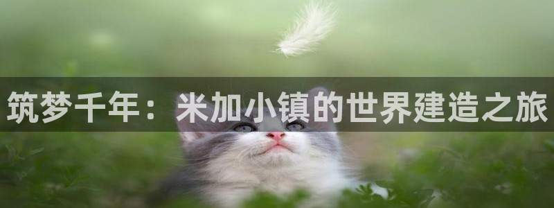 安信可12e12f：筑梦千年：米加小镇的世界建造之旅