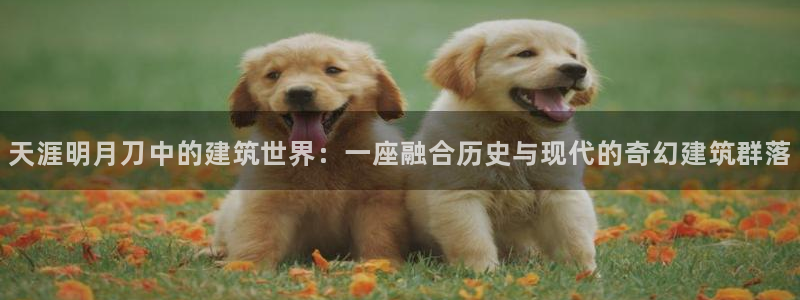 安信12注册登录下戴：天涯明月刀中的建筑世界：一座融合历史与现代的奇幻建筑群落