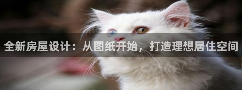 安信12注册代理：全新房屋设计：从图纸开始，打造理想居住空间