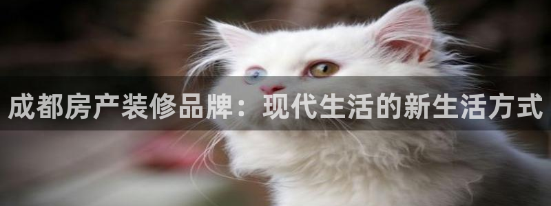 安信312 12：成都房产装修品牌：现代生活的新生活方式