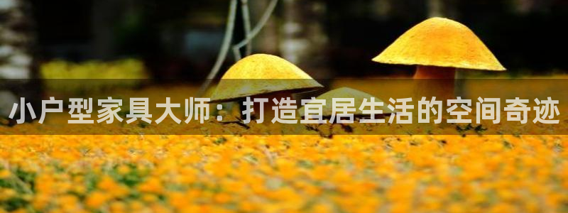 安信12是什么：小户型家具大师：打造宜居生活的空间奇迹