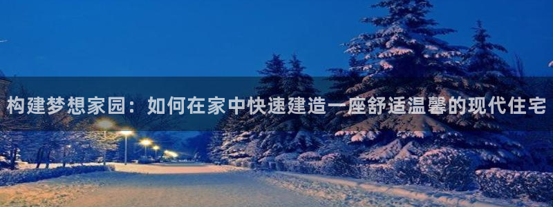 信安12乐打棒：构建梦想家园：如何在家中快速建造一座舒适温馨的现代住宅