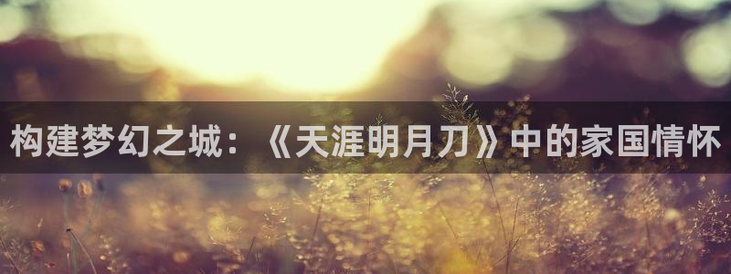 安信12网页版：构建梦幻之城：《天涯明月刀》中的家国情怀