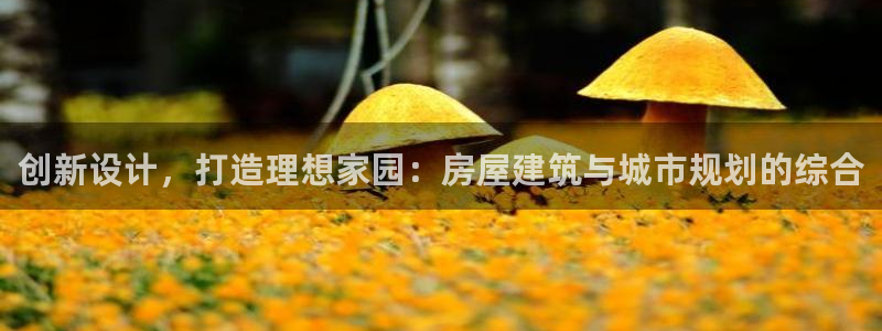 安信12平台可靠吗：创新设计，打造理想家园：房屋建筑与城市规划的综合