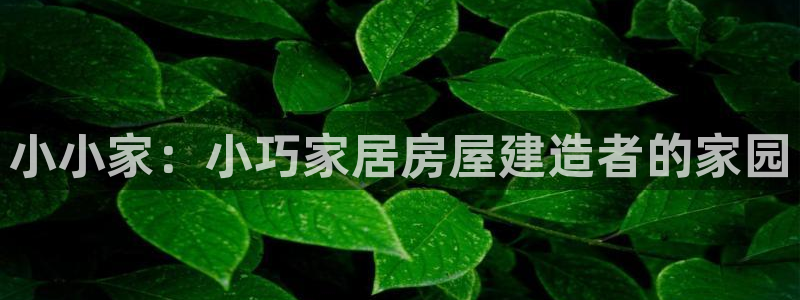 安信安盈12最新消息：小小家：小巧家居房屋建造者的家园